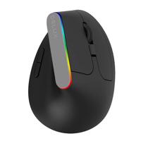 Bezdrátová vertikální myš Delux M618C 2.4G 1600DPI RGB (černá)