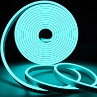 Optonica LED Neon Flex 12V 1m 6W/m IP65 Ice Blue STt4596