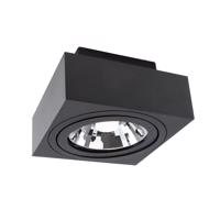 SPECTRUMLED MIRORA AR111 SURFACE GU10 250V IP20 145X145X85MM Černá SQUARE ADJUSTABLE SPOT SLIP005048